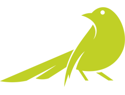 rütbe